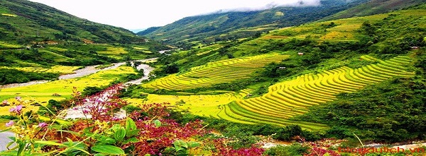 tour du lịch Sapa